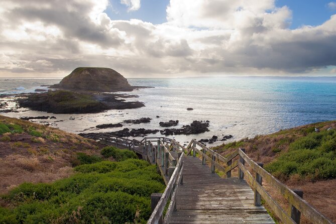 Healesville Sanctuary And Phillip Island Wildlife Bus Tour - Phillip Island Penguin Parade: Dinner Timing and a Coastline You Feel in Your Bones