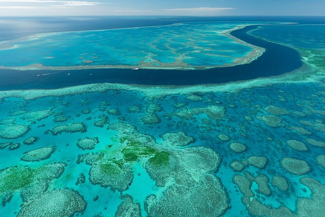 Heart Reef & Whitehaven Rest and Relax - 2.5Hr Helicopter Tour - Pilot skill and the vibe: Justin and Niels make a difference