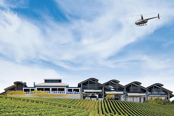 Helicopter Tour - Sirromet Winery & Scenic Flight - Brisbane to Sirromet by helicopter: the worth-it trade-off