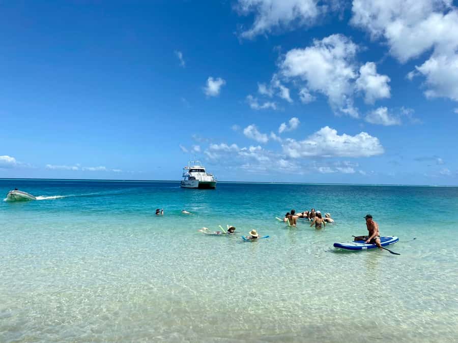 Hervey Bay: Aqua Oasis Cruise - Practical tips so you get the most out of the 5 hours