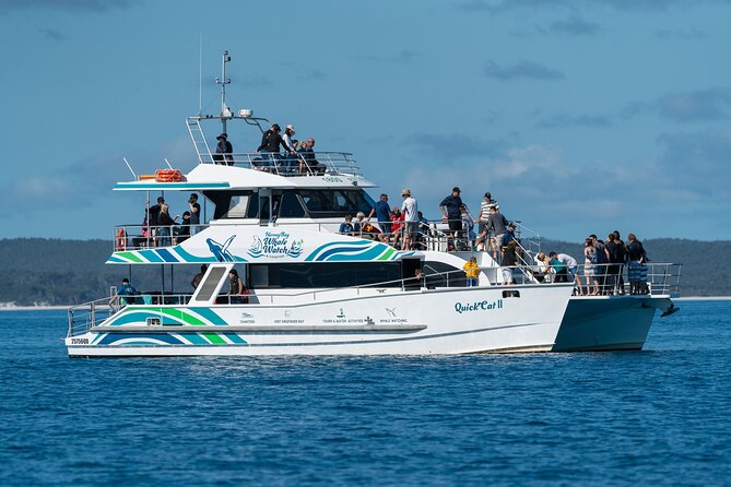 Hervey Bay: Best Value Half Day Whale Watching Cruise - Why This Half-Day Whale Cruise Works So Well