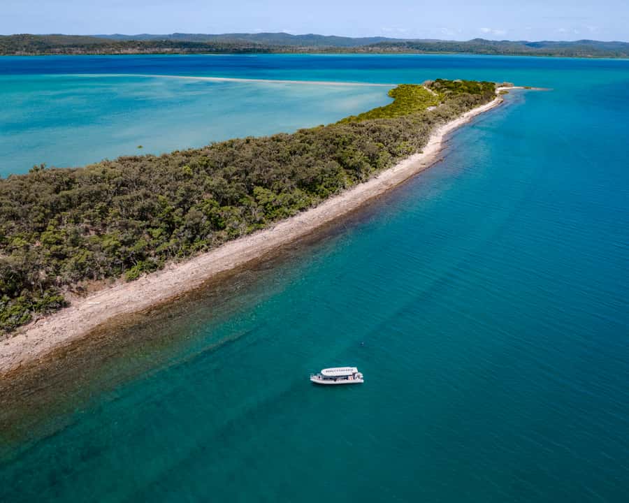Hervey Bay: Exclusive Island Hopper Adventure Cruise - Great Sandy Straits in 4 hours: the fast way to do Hervey Bay