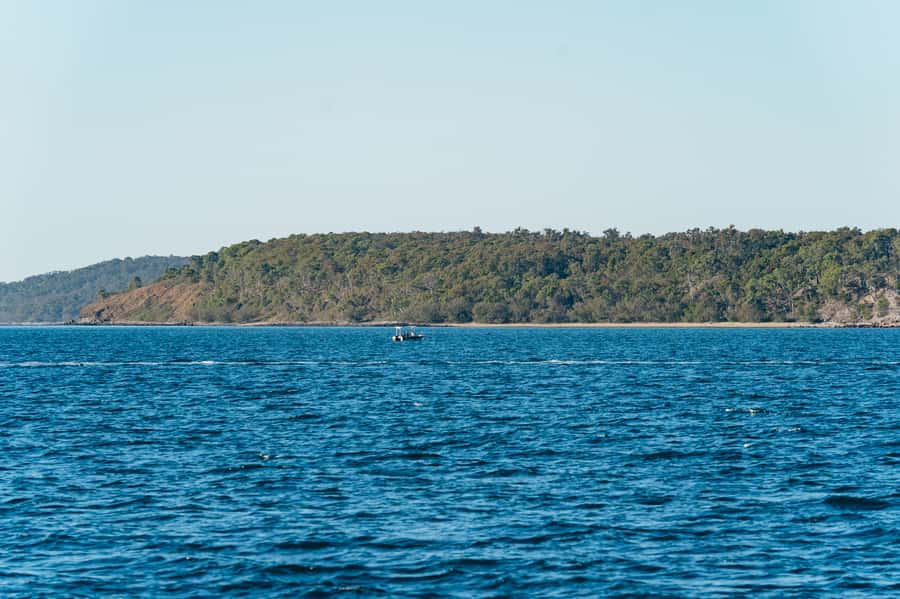 Hervey Bay: Exclusive Whale Watch Encounter - Who Should Book This (and Who Might Feel Off-Program)