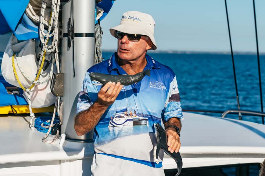 Hervey Bay: Exclusive Whale Watch Encounter - Food, Shade, and Wi-Fi: The Stuff That Makes a Long Day Easier