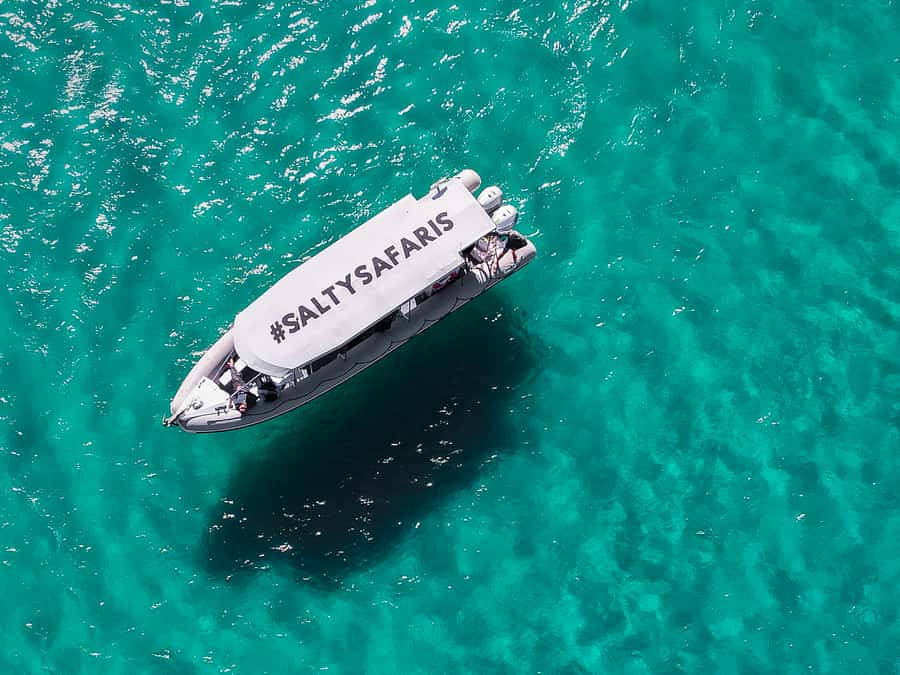 Hervey Bay: Half-Day Whale and Island Adventure by Boat - Timing and pacing: how the day fits into 4.5 hours