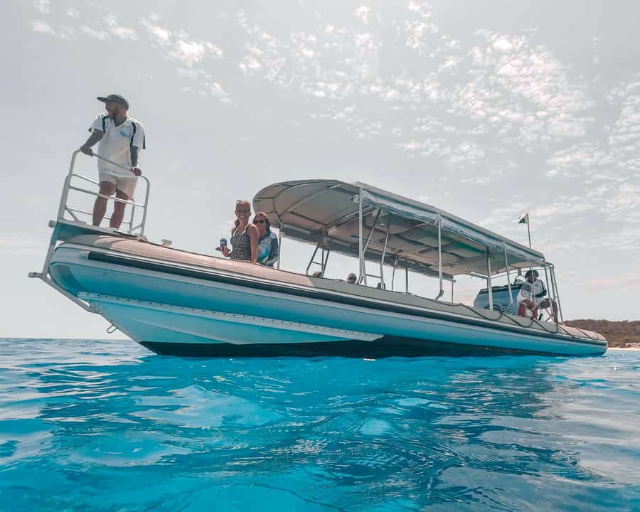 Hervey Bay: Half-Day Whale and Island Adventure by Boat - Price and value: what $116 buys you here