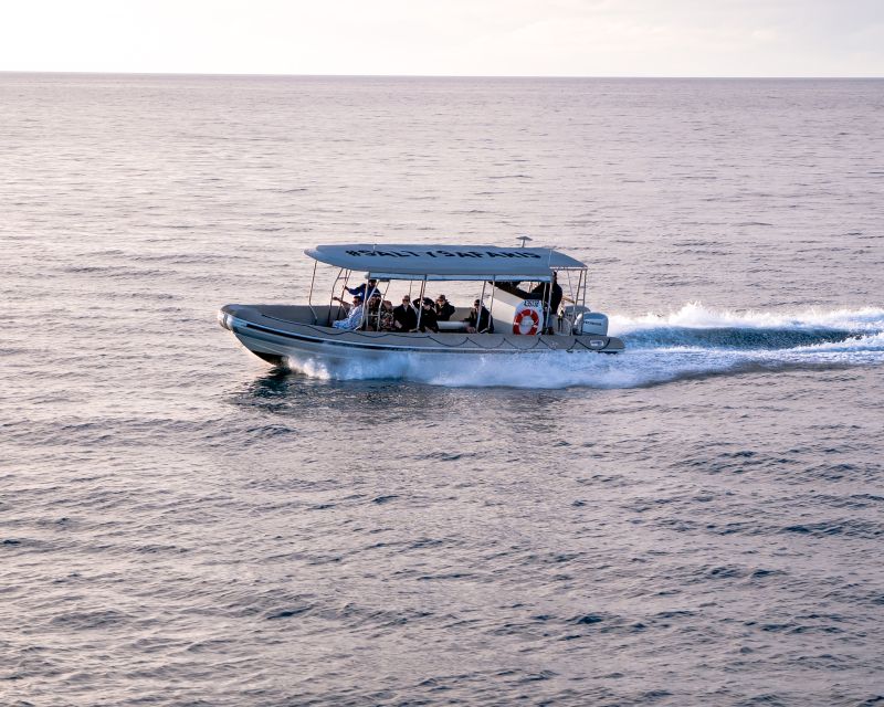 Hervey Bay: Half-Day Whale and Island Adventure by Boat - What to bring (and what to wear) so you stay comfortable