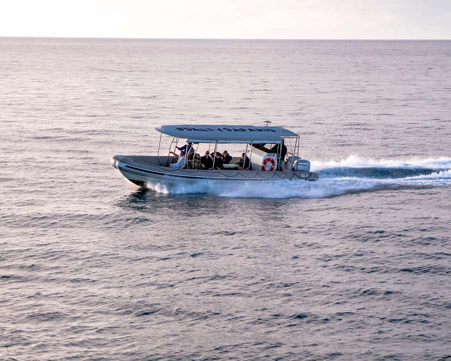 Hervey Bay: Half-Day Whale and Island Adventure by Boat - Who should book this, and who should skip it