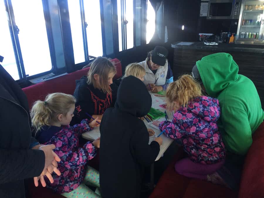 Hervey Bay: Half-Day Whale Watching Cruise with Meal - Price and Value: Is $113 per Person Reasonable?