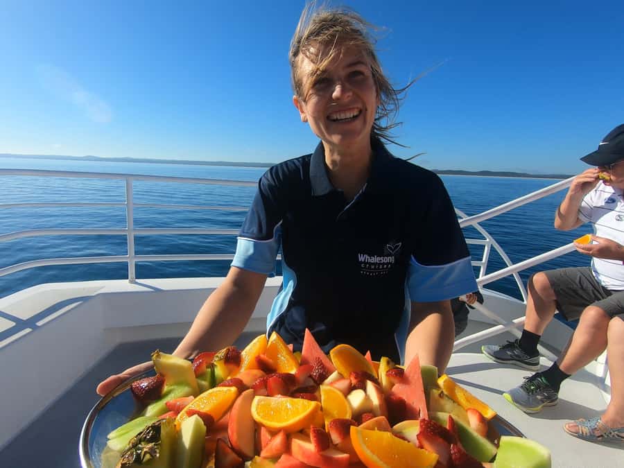 Hervey Bay: Half-Day Whale Watching Cruise with Meal - Whalesong Catamaran Comfort: Built for Viewing, Not Just Boarding