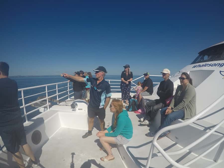 Hervey Bay: Half-Day Whale Watching Cruise with Meal - Whale Songs on the Hydrophone: When You Can Hear the Soundtrack