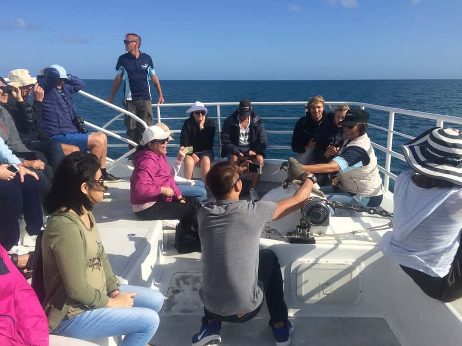Hervey Bay: Half-Day Whale Watching Cruise with Meal - Getting to the Marina: Easy Start at Great Sandy Straits Marina
