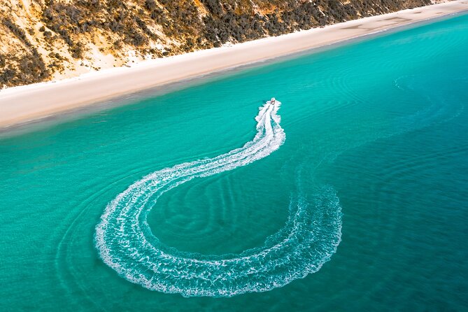 Hervey Bay: Half Day Whale watching & Island Stop Tour - Hervey Bay whale watching in Great Sandy Straits: what makes it special