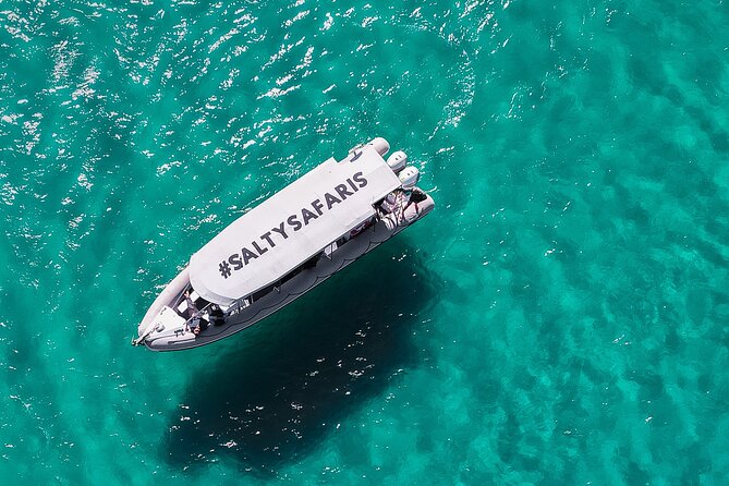 Hervey Bay: Half Day Whale watching & Island Stop Tour - The Wipe Out half-day schedule: how the 4.5 hours flows