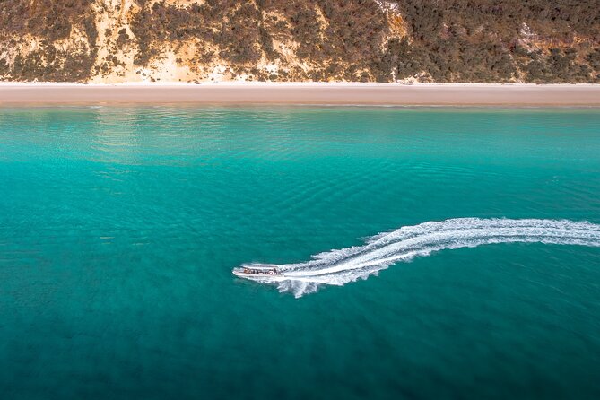 Hervey Bay: Half Day Whale watching & Island Stop Tour - Beach break with cold drinks, beach games, and stand-up paddle-boarding
