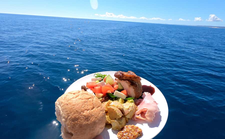 Hervey Bay: Pre-season Whale and Dolphin Watching Cruise - Key things I’d zero in on