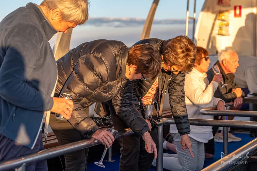 Hervey Bay: Relaxing Sunset Cruise with Champagne and Prawns - Champagne, Beer, or Soft Drink: Included Drinks Without the Fuss