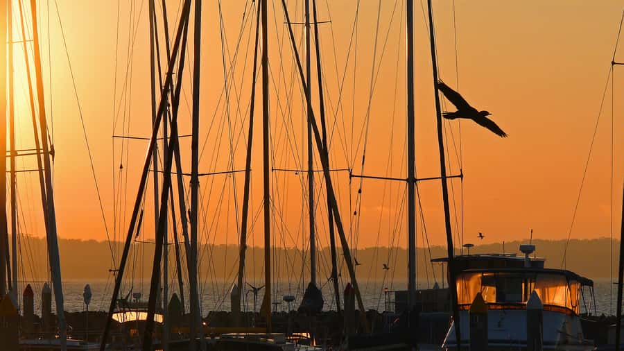 Hervey Bay: Relaxing Sunset Cruise with Champagne and Prawns - Onboard Comfort: Music, Bathrooms, and What to Bring