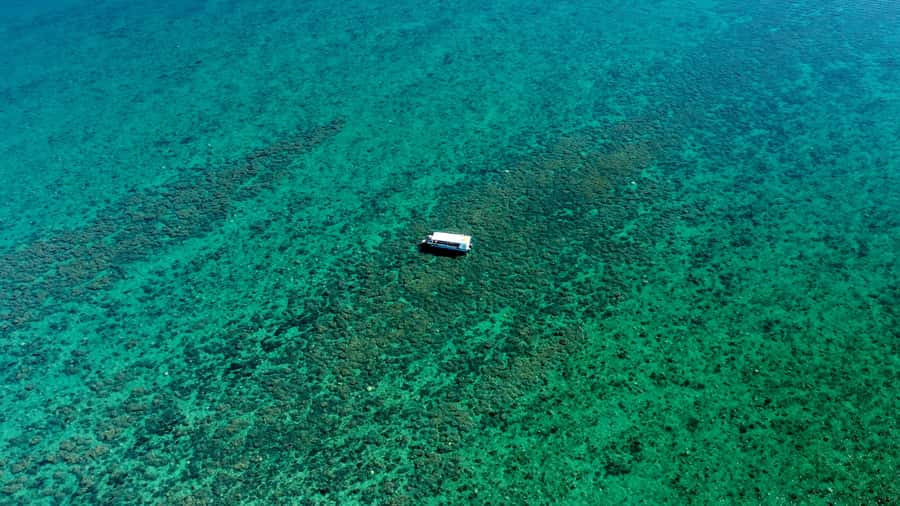 Hervey Bay: Turtle Discovery Eco Tour - Glass-Bottom Cruising in the Great Sandy Strait
