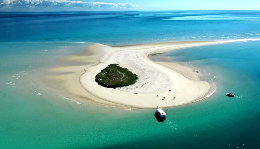 Hervey Bay: Turtle Discovery Eco Tour - Wildlife Chances Without the Stress of Expectations