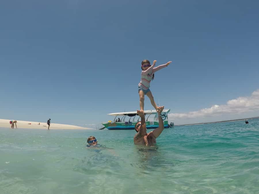 Hervey Bay: Turtle Discovery Eco Tour - Price and Logistics: Is $77 Worth It for Your Style of Travel?