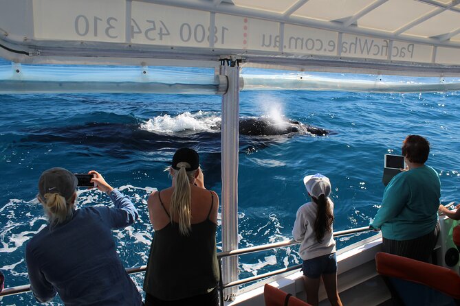 Hervey Bay Ultimate Whale Watching Cruise - Key Takeaways Before You Go