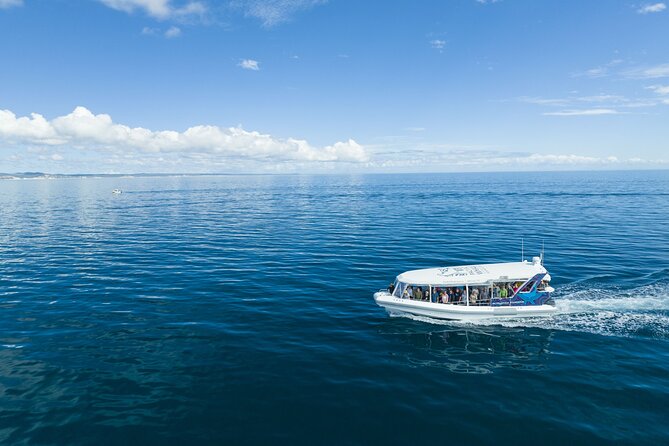 Hervey Bay Ultimate Whale Watching Cruise - Humpback Season Timing in Hervey Bay (and Why It Still Matters)