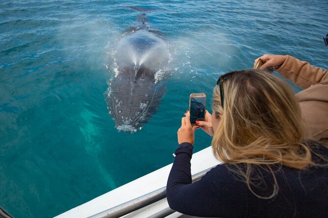 Hervey Bay Ultimate Whale Watching Cruise - Marine Naturalist Onboard: Commentary That Turns Sightings Into Learning
