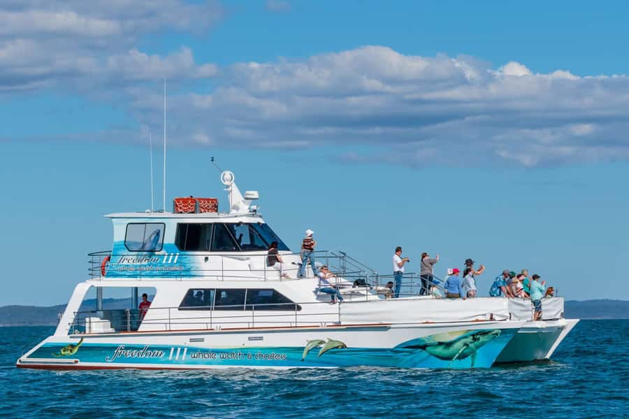 Hervey Bay Whale Odyssey Cruise - A real 9:30am to 3:30pm day (with the whales holding the schedule)