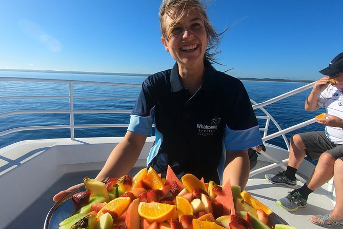 Hervey Bay Whale Watching Experience - Key things that make this whale cruise work