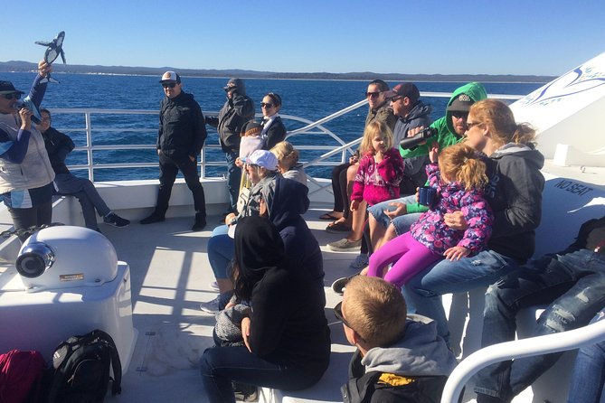 Hervey Bay Whale Watching Experience - The route: Great Sandy Straits to Platypus Bay (and back past K’gari)
