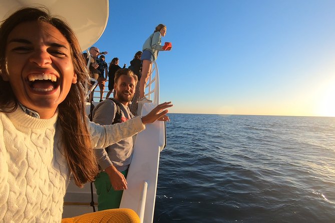 Hervey Bay Whale Watching Experience - Who this cruise is best for (and who should plan extra)