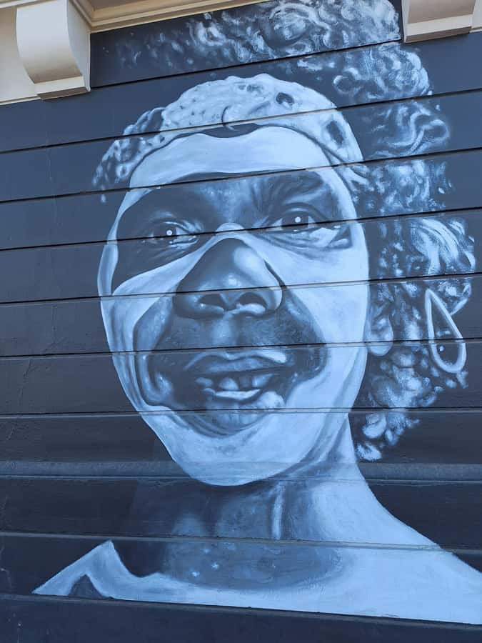 Hidden Adelaide: Laneways & Street Art Tour - Street art stops you’ll actually remember
