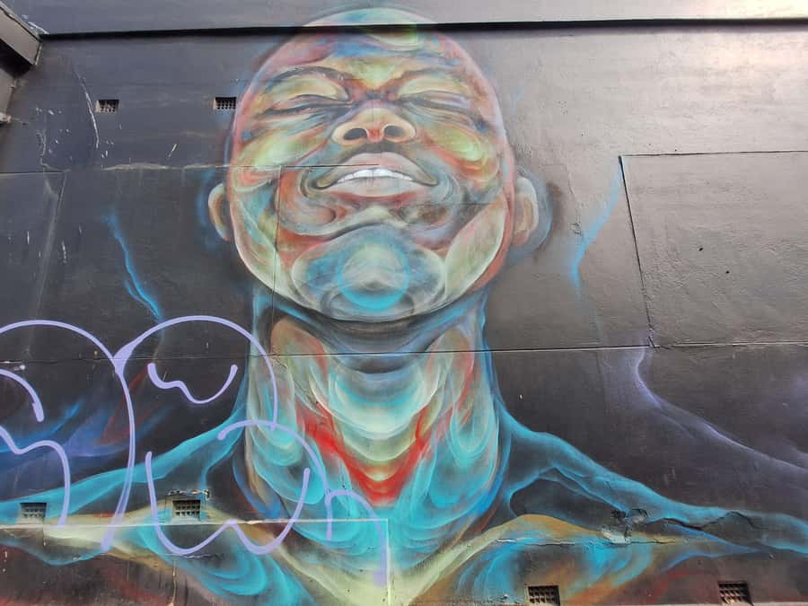 Hidden Adelaide: Laneways & Street Art Tour - The tiny door and other Adelaide oddities