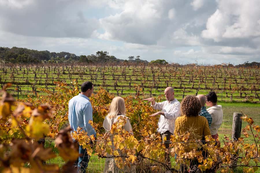 Hidden Gems Margaret River: Authentic Wine & Farm Experience - Morning Farm Time: Feeding Emus and Alpacas, Then Scones and Coffee