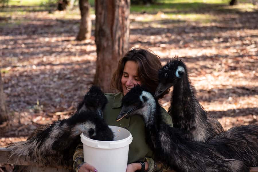 Hidden Gems Margaret River: Authentic Wine & Farm Experience - Olive Farm Lunch: Oils, Olive Products, and a Proper Midday Reset