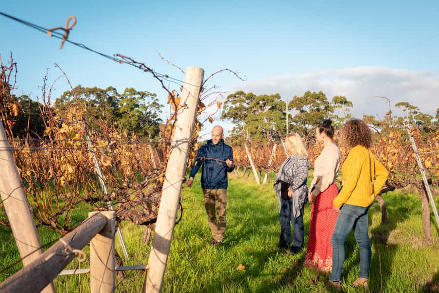 Hidden Gems Margaret River: Authentic Wine & Farm Experience - Three Boutique Wineries: Taste with Context, Not a Rush