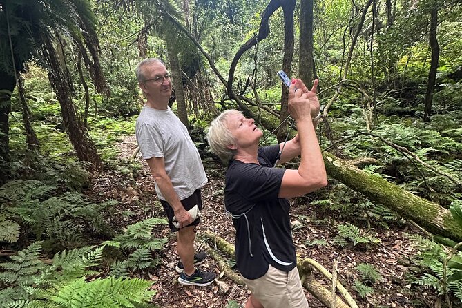 Highlights of the Eurobodalla (half day private tour) - Eurobodalla Regional Botanic Gardens after the 2020 bushfires