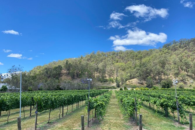 Hinterland Heritage Wine Tour - Stop 3: Mount Nathan Winery and the honey wine moment