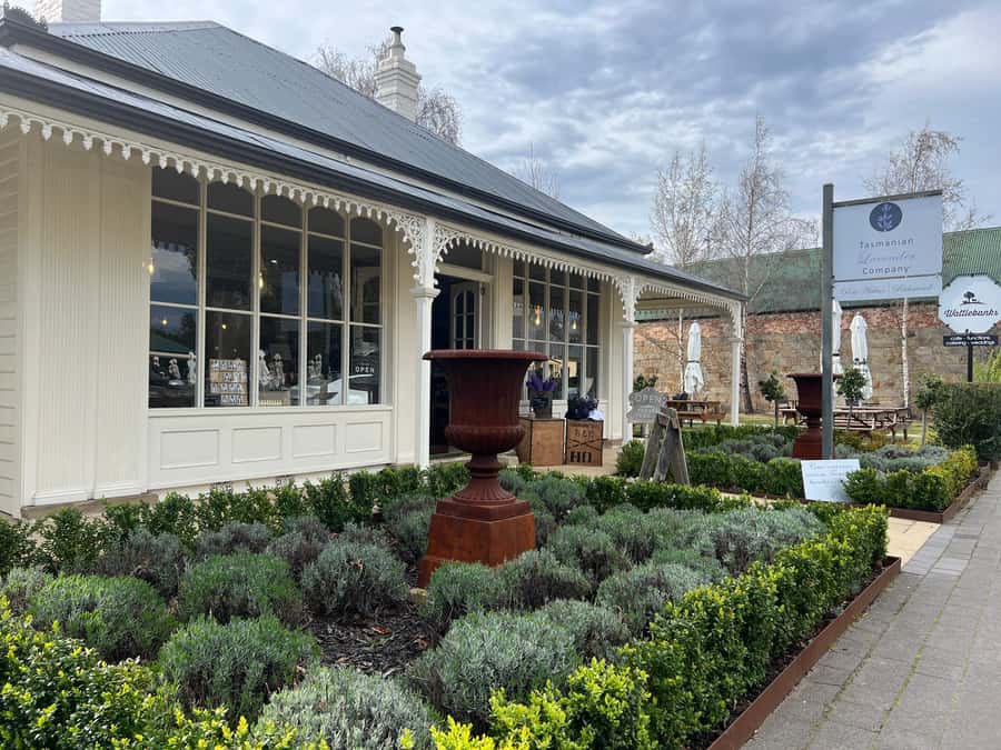 Historic Richmond Village Half-Day Coach Tour - Walking Richmond Bridge: Your First Taste of Convict-Era Tasmania