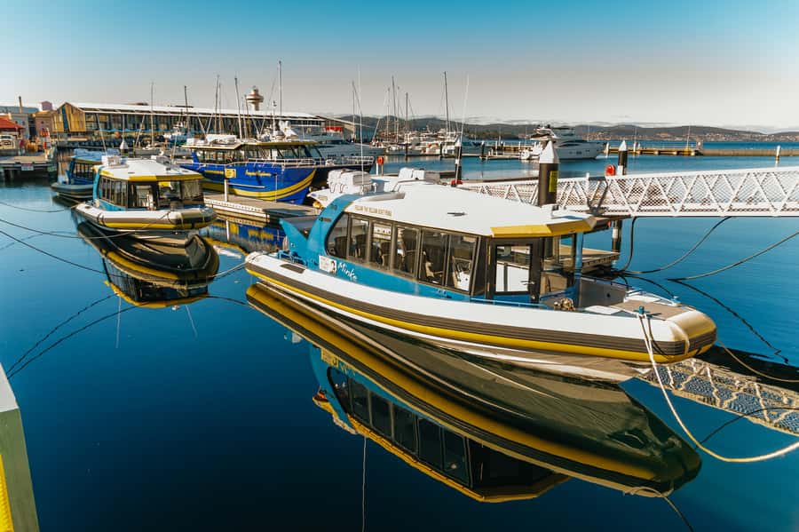 Hobart: 2.5-hour Iron Pot Lighthouse Cruise - Key moments I think you’ll care about most