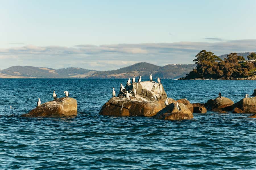 Hobart: 2.5-hour Iron Pot Lighthouse Cruise - Iron Pot Lighthouse: the oldest beacon and the stories behind it
