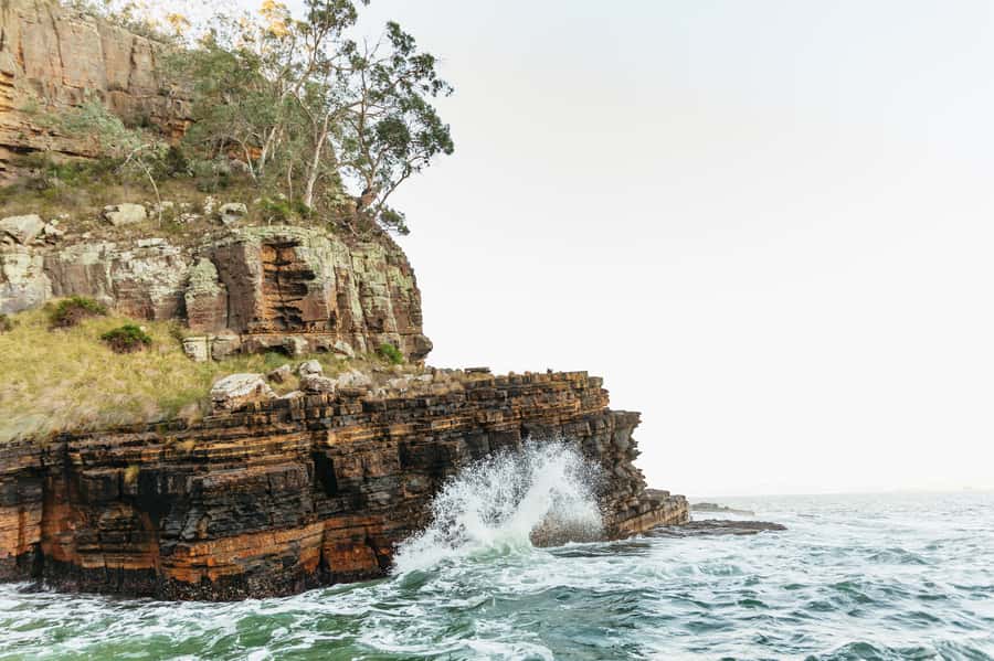 Hobart: 2.5-hour Iron Pot Lighthouse Cruise - Storm Bay and Betsey Island: seabirds, caves, and secluded shorelines