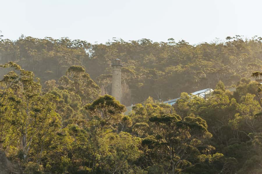Hobart: 2.5-hour Iron Pot Lighthouse Cruise - Price and value: what $102 buys you in Hobart