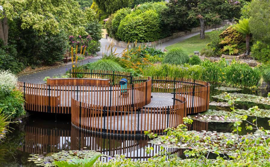Hobart: 3-Hour City Sightseeing Tour - Royal Tasmanian Botanical Gardens: time to breathe (and enjoy the Vegie Patch story)