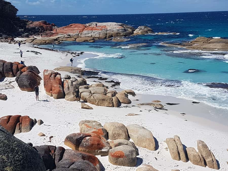 Hobart: 4 Day Wild Tasmania Tour - The Big Idea: Why This Hobart-to-Tasmania Loop Makes Sense