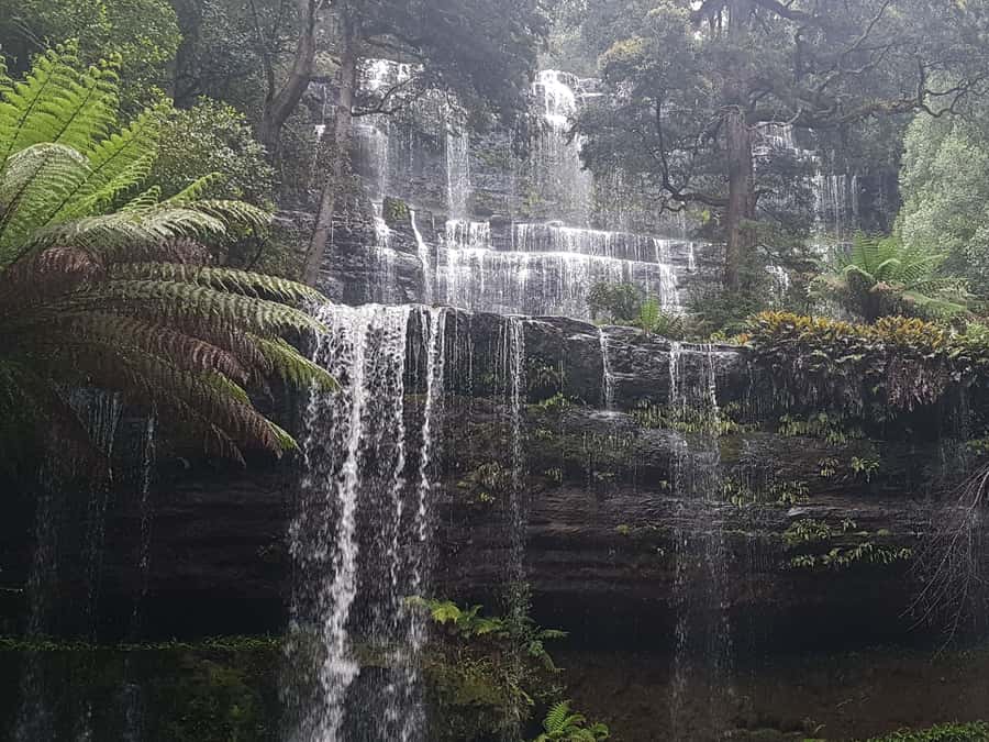 Hobart: 4 Day Wild Tasmania Tour - Russell Falls and the Plateaus: the short stops that feel like a reset