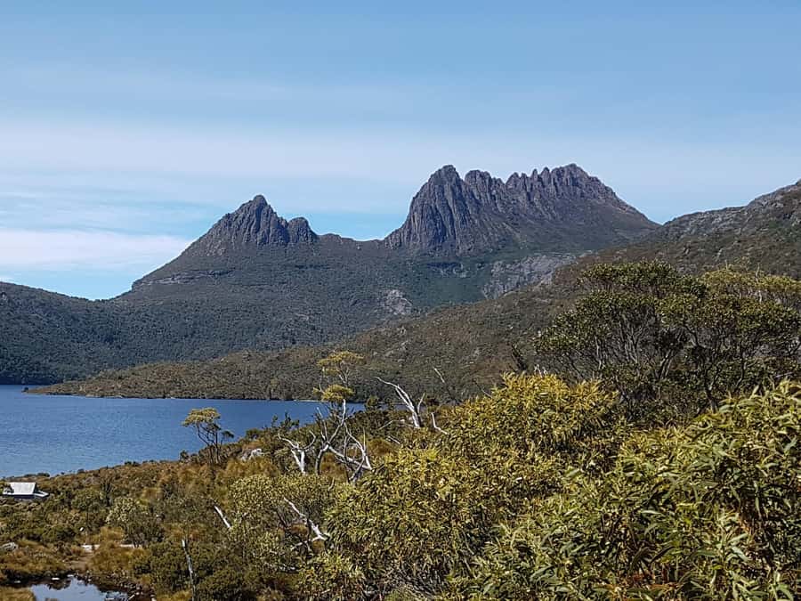 Hobart: 4 Day Wild Tasmania Tour - Cradle Mountain National Park: Hikes, the UNESCO setting, and wombat odds