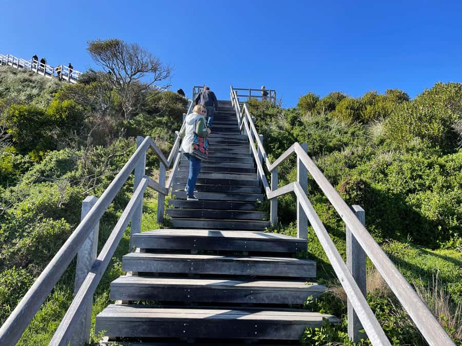 Hobart: Bruny Island Adventure: Hike, Highlights & Tastes - Key takeaways before you go