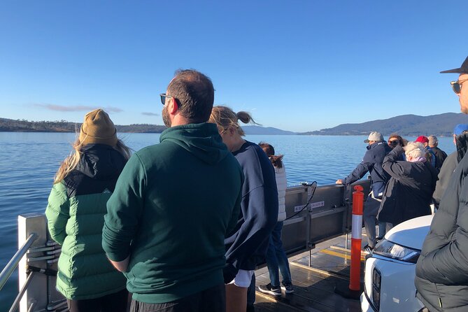 Hobart: Bruny Island Adventure: Hiking, Highlights & Local tastes - Chocolate, honey, cheese, and oysters: what the food stops really add